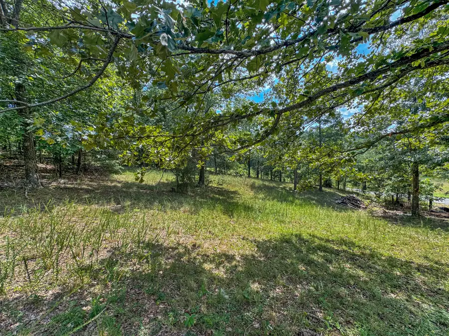 000 Cummins Road, Dawson Springs, KY 42408 - #2