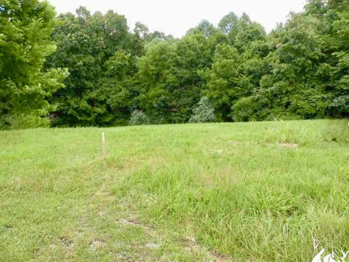 Lot 14  Corinne Drive, Eddyville, KY 42038 - #1