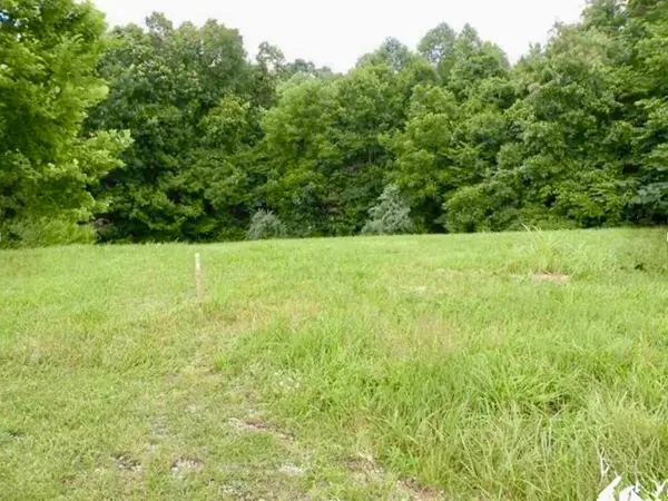 Lot 14  Corinne Drive, Eddyville, KY 42038