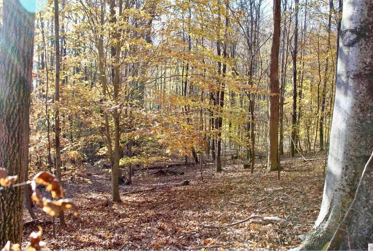 Lots 27E - 32E Parkersville Road, Eddyville, KY 42038 - #1