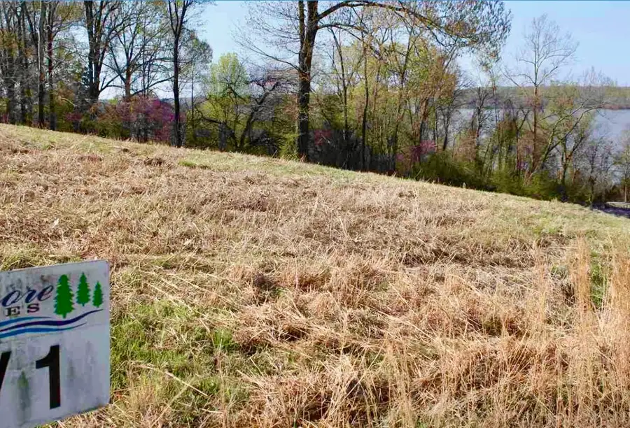Lot 1 Oak View Lane, Eddyville, KY 42038 - #3