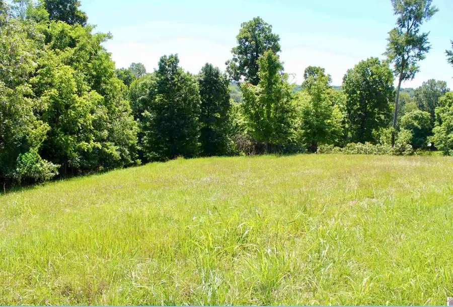 Lot 11 Oak View Lane, Eddyville, KY 42038 - #2
