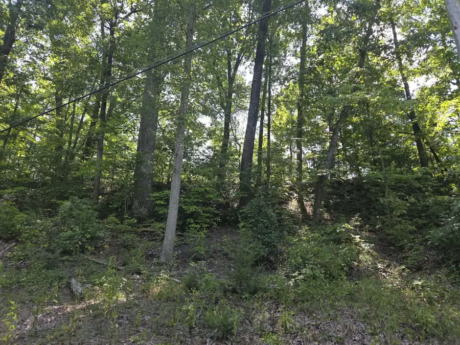 2096 State Highway 1036, Stanton, KY 40380 - #3