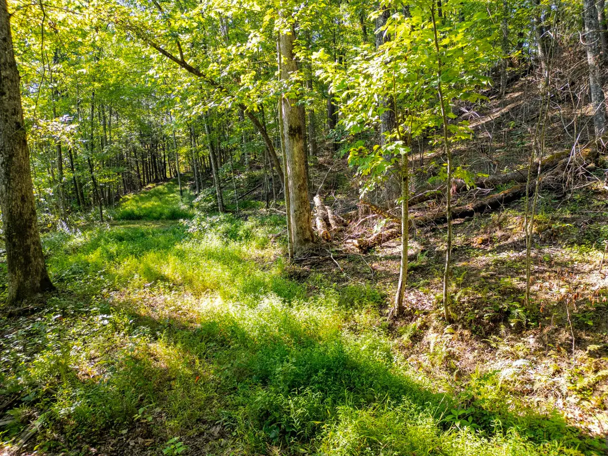 Highlands of RRG Lot 626 Bird Song Trail, Zoe, KY 41397 - #1