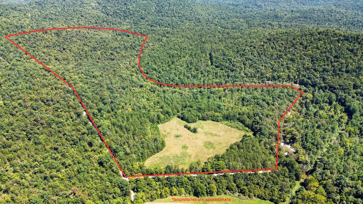 0 Parmleysville Road, Monticello, KY 42633 - #1