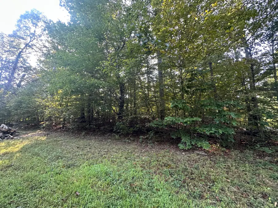 105B-719-724 Ky Lake Dev Haner Lane, New Concord, KY 42076 - #2