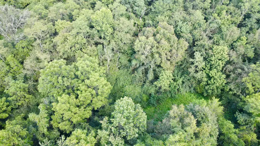0000 Knox Lillard Road, Ghent, KY 41045 - #2
