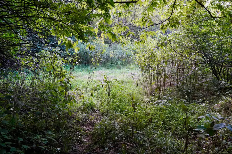 0000 Knox Lillard Road, Ghent, KY 41045 - #3