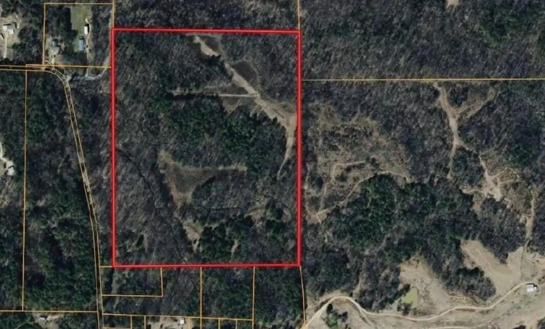 0 Austin Springs Road, Dukedom, TN 38226 - #1