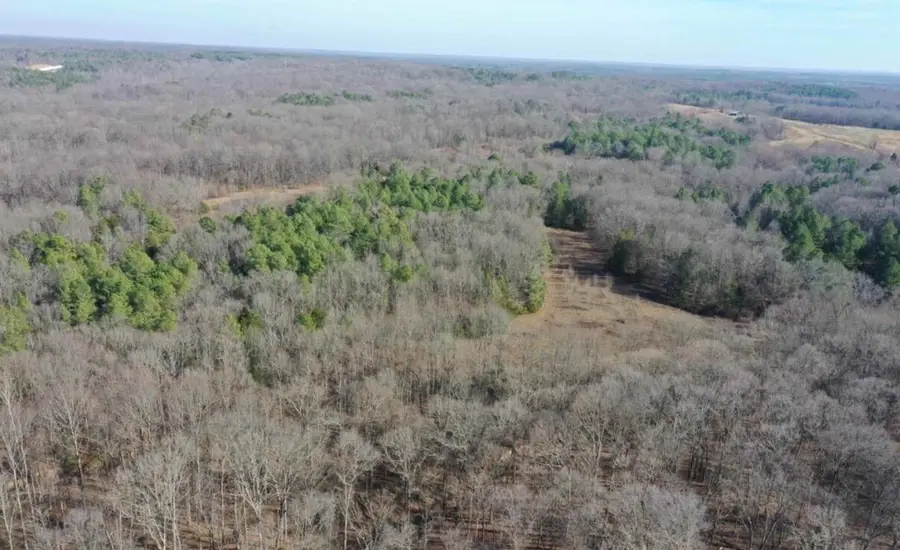 0 Austin Springs Road, Dukedom, TN 38226 - #2