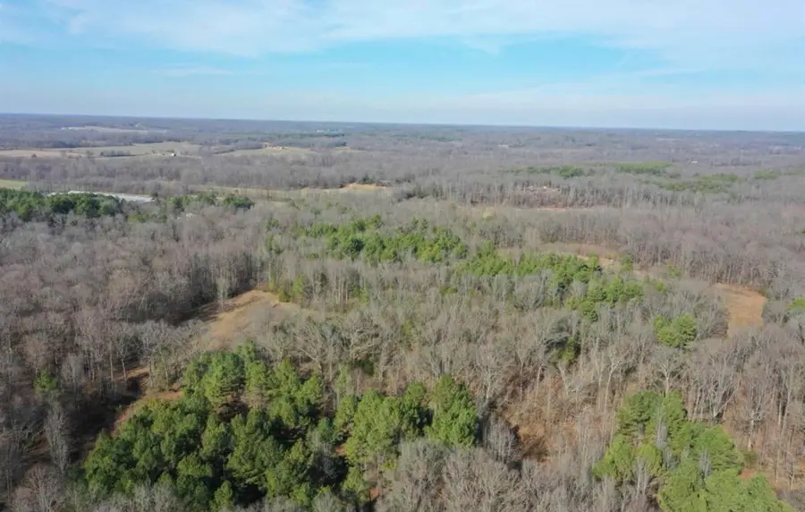 0 Austin Springs Road, Dukedom, TN 38226 - #3