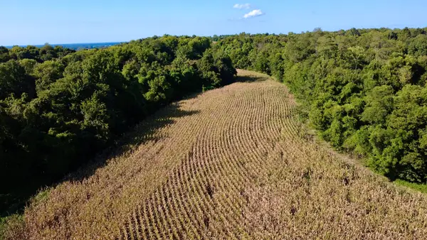 0000 New Lakton Road, Bardwell, KY 42023