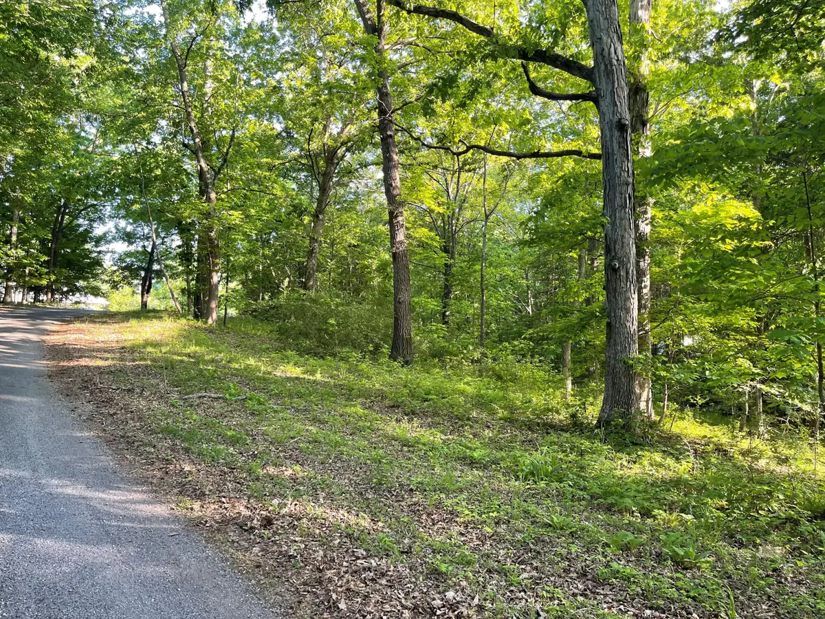 Lots 14X, 15X, 16X Pines Circle, Cadiz, KY 42211 - #1