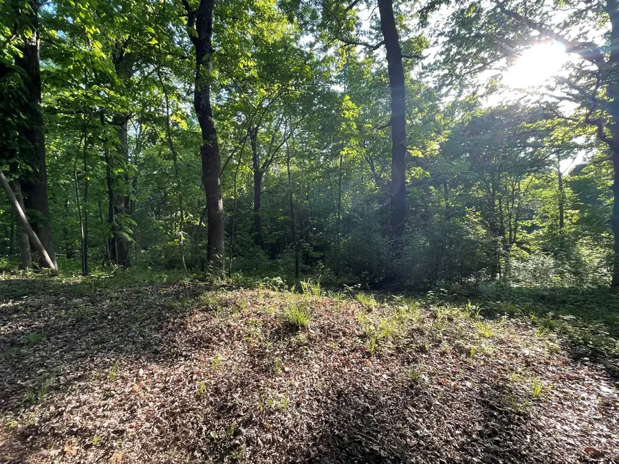 Lots 14X, 15X, 16X Pines Circle, Cadiz, KY 42211 - #2