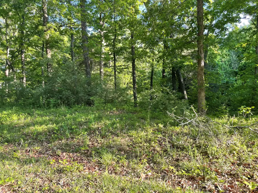 Lots 14X, 15X, 16X Pines Circle, Cadiz, KY 42211 - #3