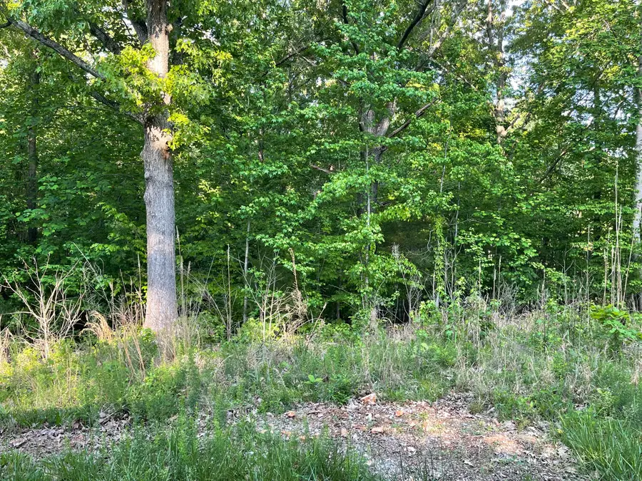 Lots 4X, 5X, 6X  Pines Circle, Cadiz, KY 42211 - #2