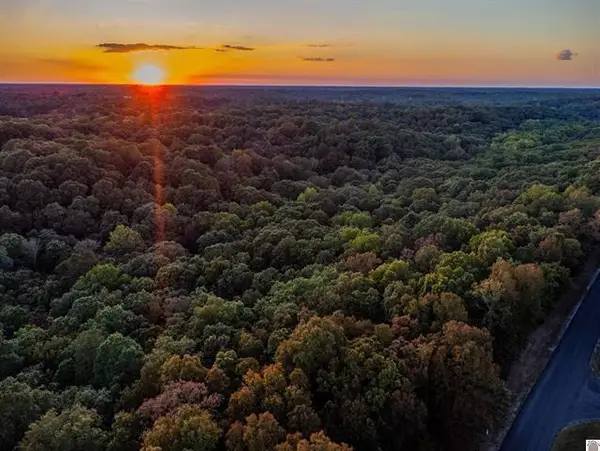 Lot 79b Waterfowl Road, Murray, KY 42071