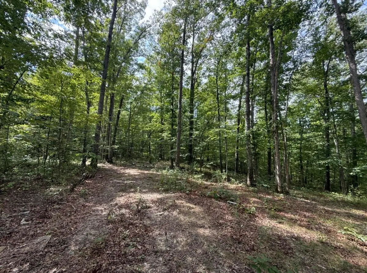 0000 Shady Grove Road #Lot 5, Mount Vernon, KY 40456 - #1