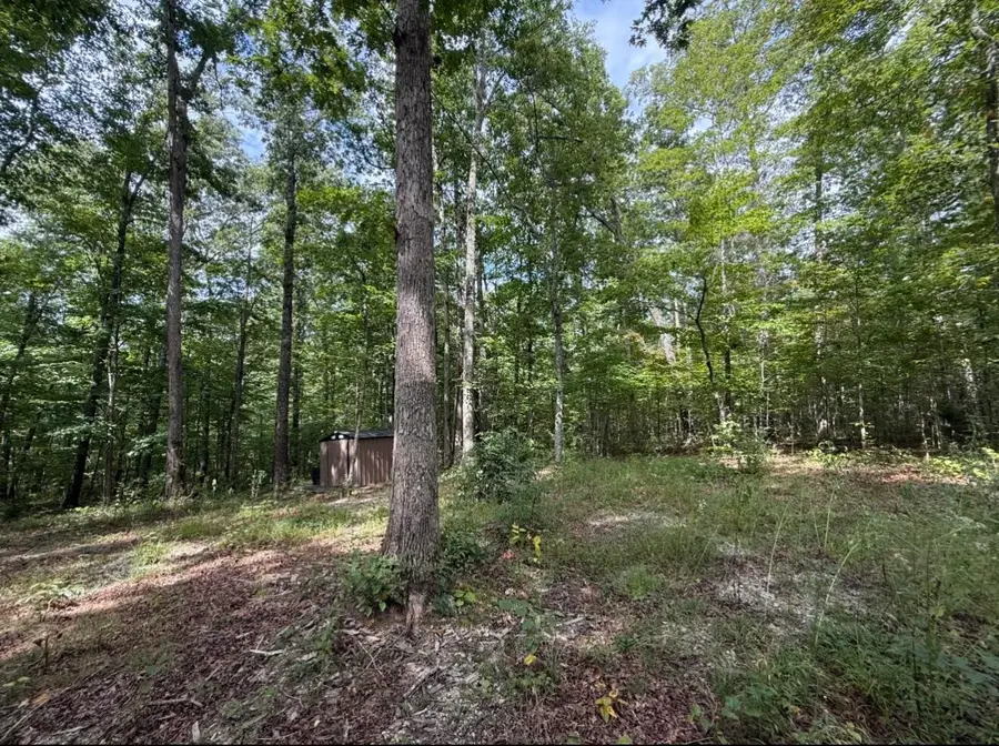 0000 Shady Grove Road #Lot 5, Mount Vernon, KY 40456 - #2