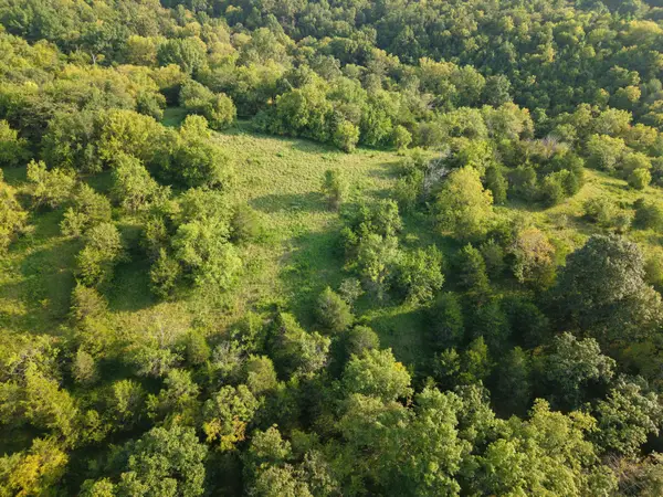 0 Puncheon Creek Road, Lawrenceburg, KY 40342