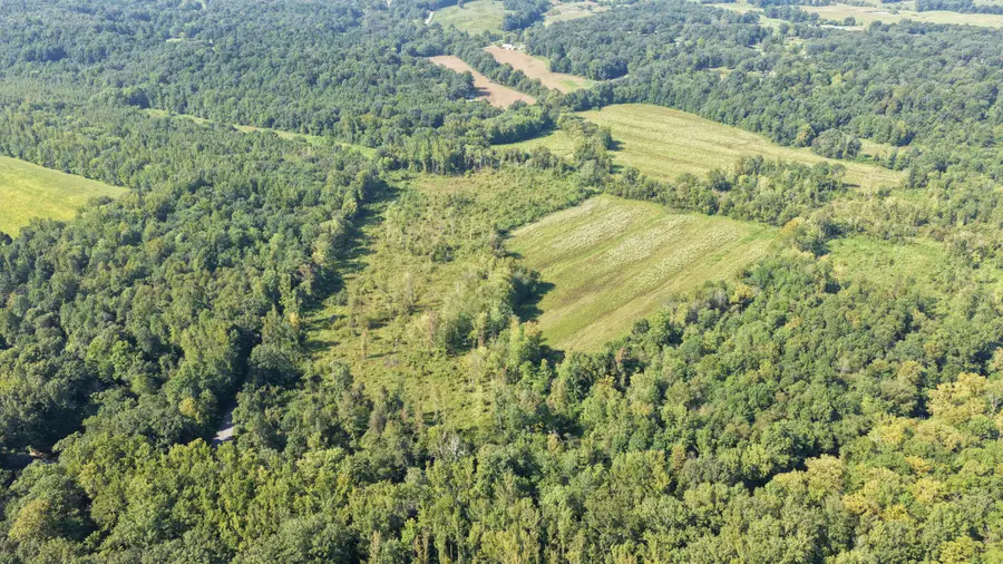 00 Dogtown Road, Benton, KY 42025 - #2