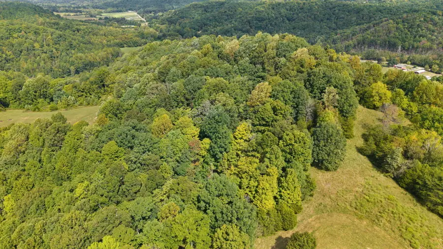 7 Snow Road, Middleburg, KY 42541 - #3