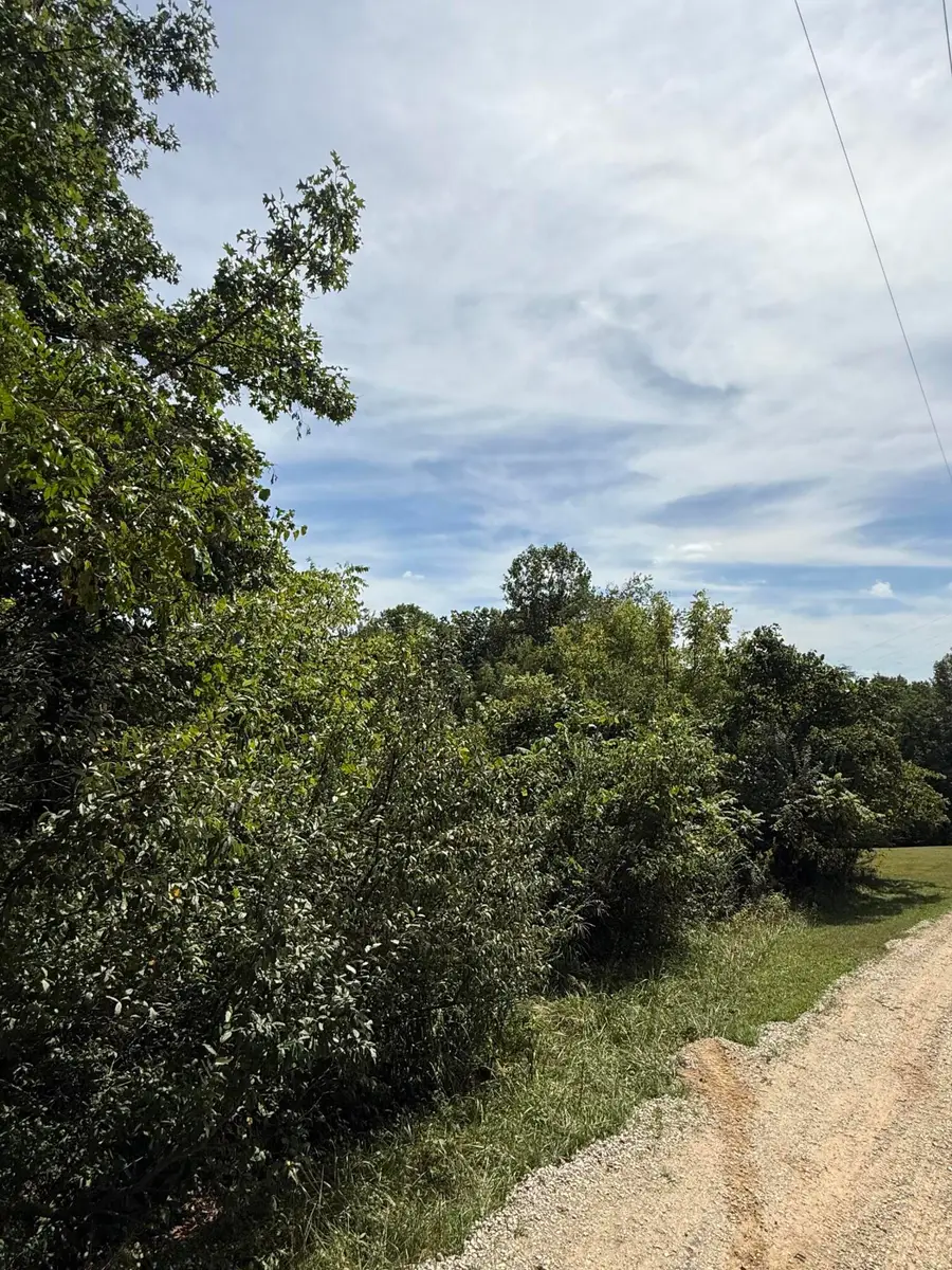 1197 & 25 State Highway 1036, Zoe, KY 41397 - #3