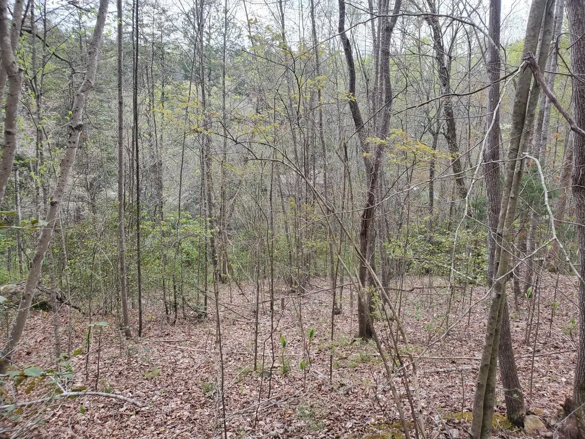 Lot 35-Lot 36 Boulder Drive, London, KY 40741 - #1