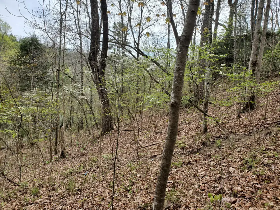Lot 35-Lot 36 Boulder Drive, London, KY 40741 - #2