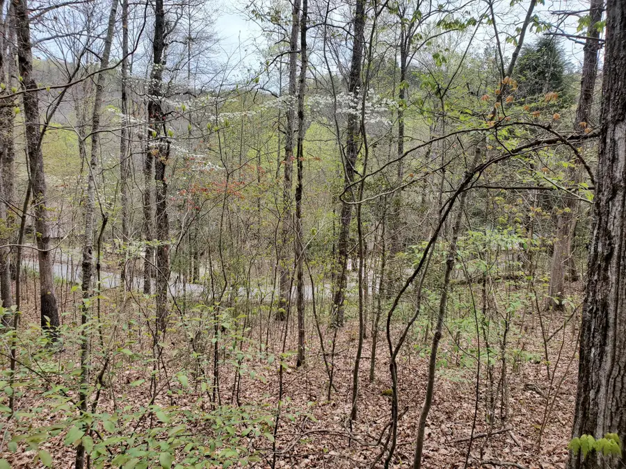 Lot 35-Lot 36 Boulder Drive, London, KY 40741 - #3