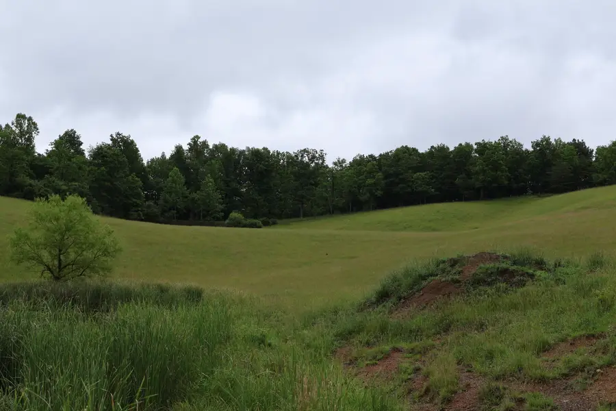 4135 4135 Big Andy Rdg Tract 3 Road #Tracts 1,2,3,4, Rogers, KY 41365 - #3