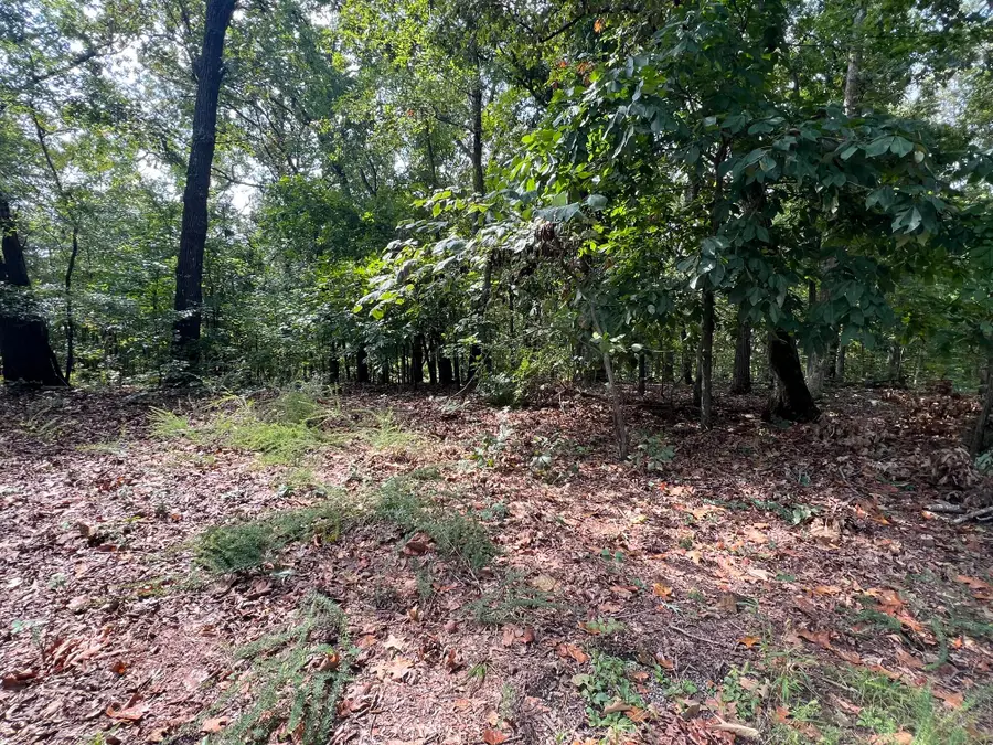 Lot 13  Veal Lane, New Concord, KY 42076 - #2