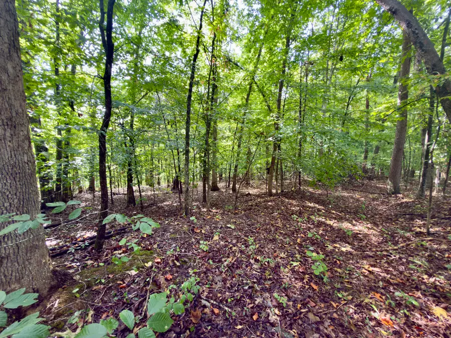 98 Dogwood Trail, Monticello, KY 42633 - #2