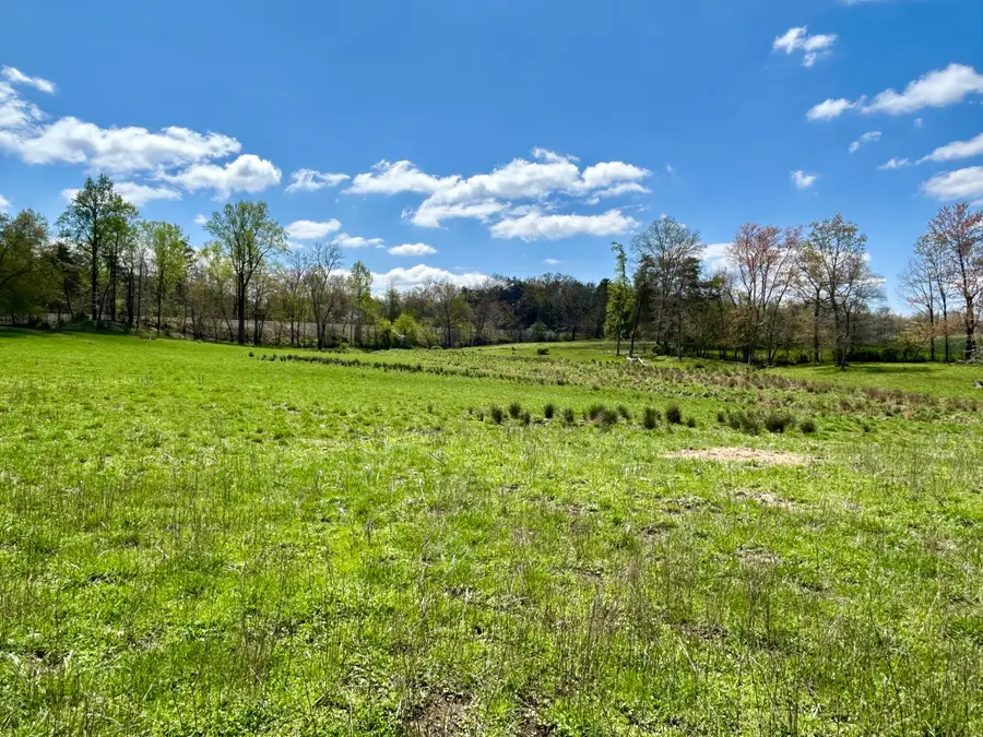 428 Dick Wilson Road, Strunk, KY 42649 - #2