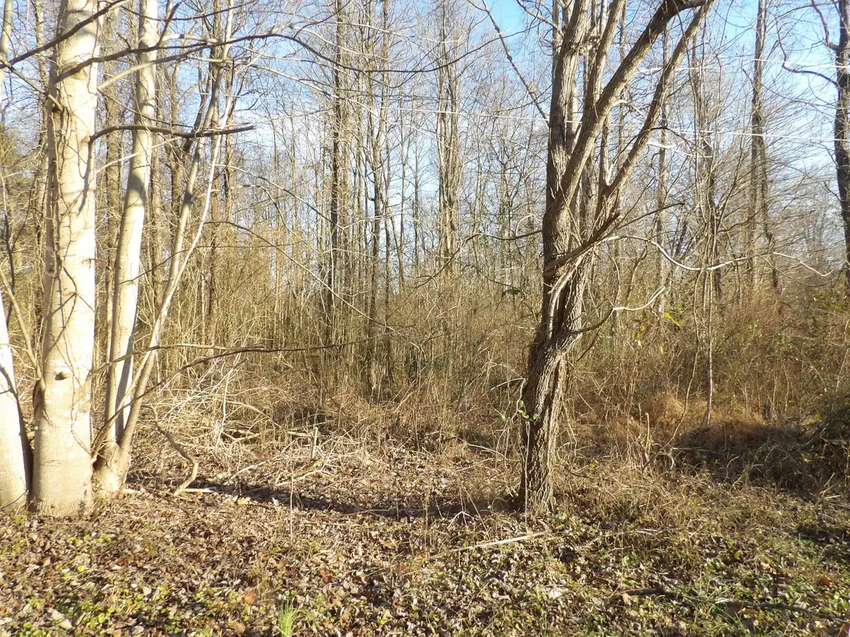 312 Blakely Lane, Middlesboro, KY 40965 - #1