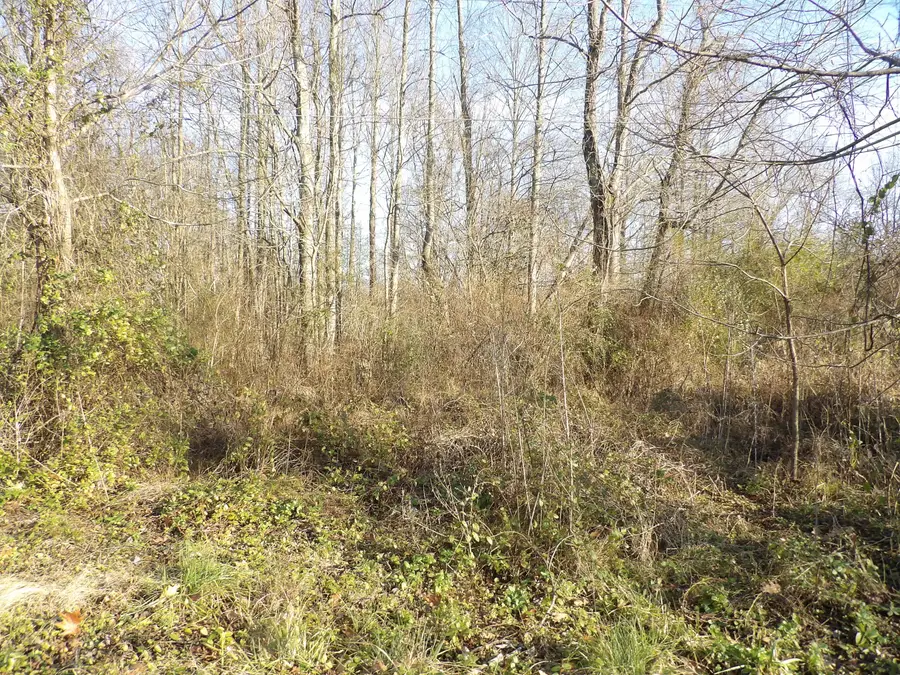 312 Blakely Lane, Middlesboro, KY 40965 - #2