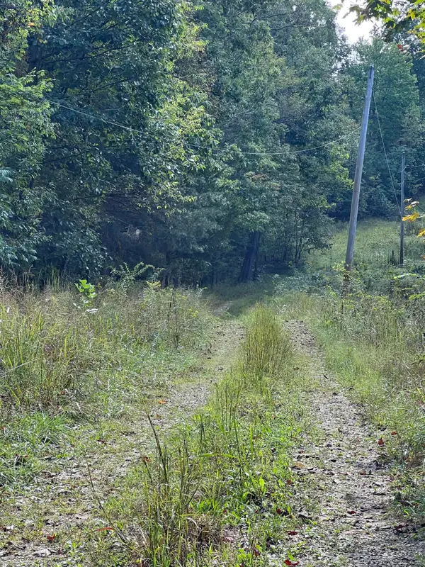 3859 Watson Ridge Road, Ravenna, KY 40472