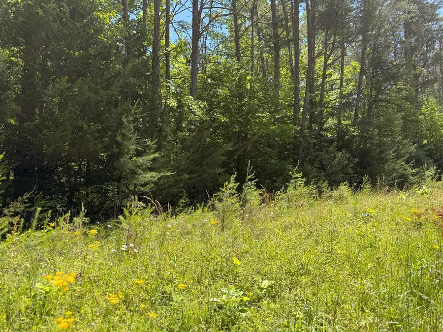 15-17 & 24-28  Pine Tree Road, Nancy, KY 42544 - #2