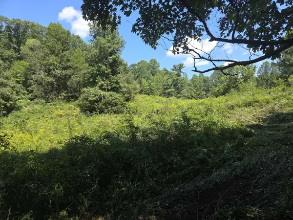 265 Cox Road, Irvine, KY 40336