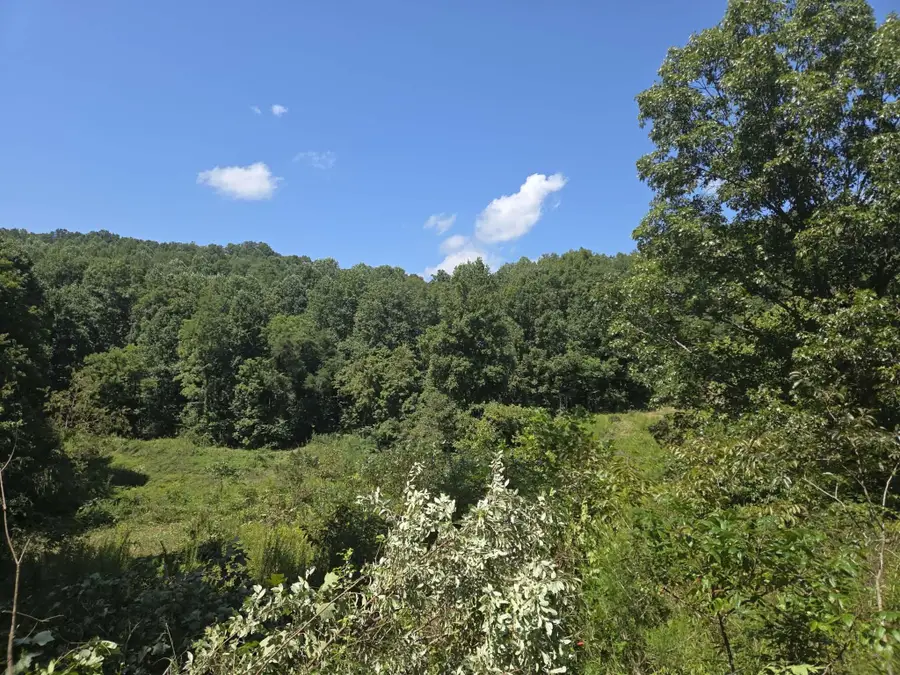 265 Cox Road, Irvine, KY 40336 - #3