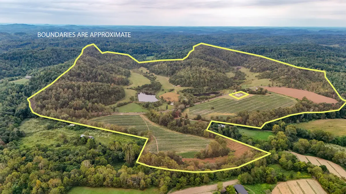 11785 Mcwhorter Road, London, KY 40741 - #1