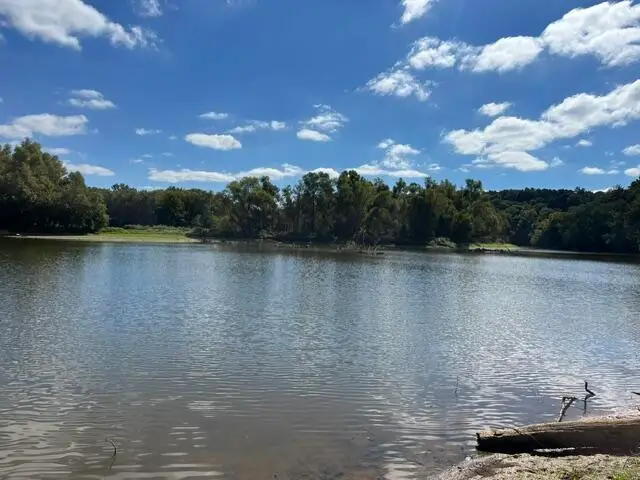 054 Forest Circle Lots 54 & 137 Circle, Cadiz, KY 42211 - #2