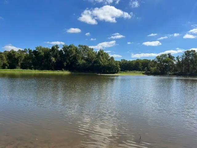 054 Forest Circle Lots 54 & 137 Circle, Cadiz, KY 42211 - #3