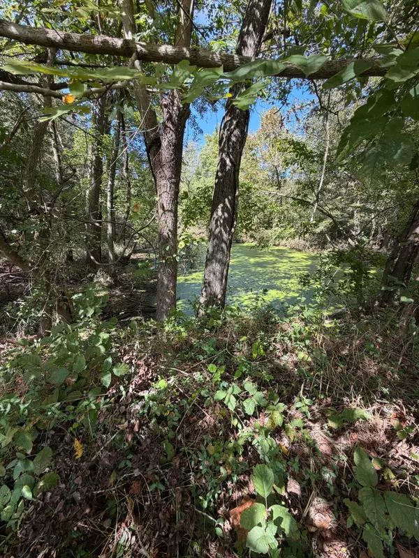 000 State Route 121, Bardwell, KY 42023
