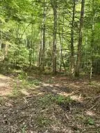 Lot 79 Fixer Road, Zoe, KY 41397 - #1