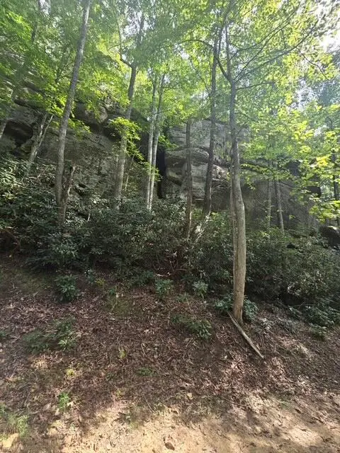 Lot 113 Fixer Road, Zoe, KY 41397