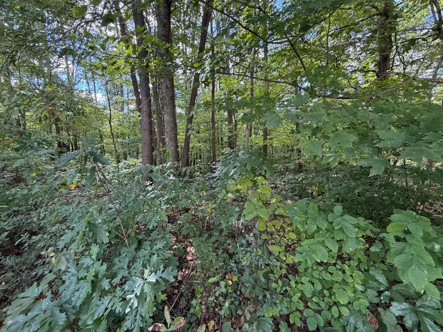 00 E Taxiway Drive #Lot 20, Albany, KY 42602 - #3