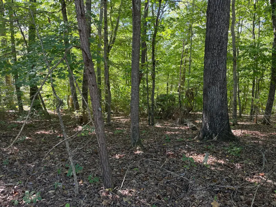 0 E Taxiway Drive #Lot 15, Albany, KY 42602 - #2