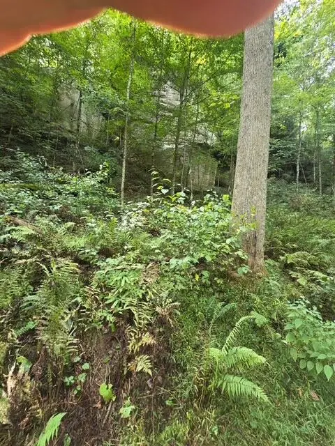 Lot 62 Fixer Road, Zoe, KY 41397