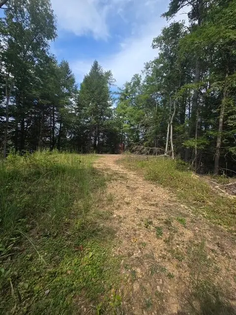Lot 73 Fixer Road, Zoe, KY 41397
